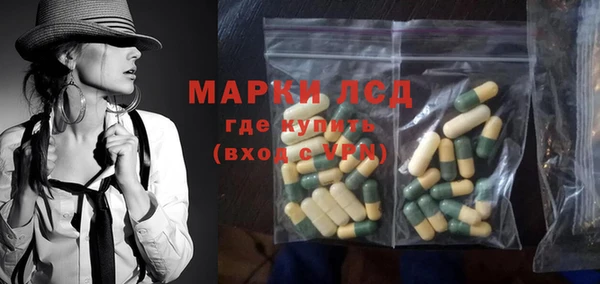 гидра Магас