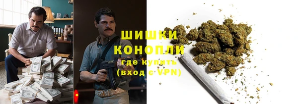 гидра Магас