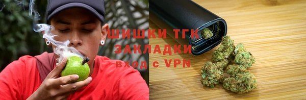 гидра Магас
