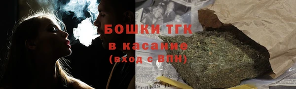 гидра Магас