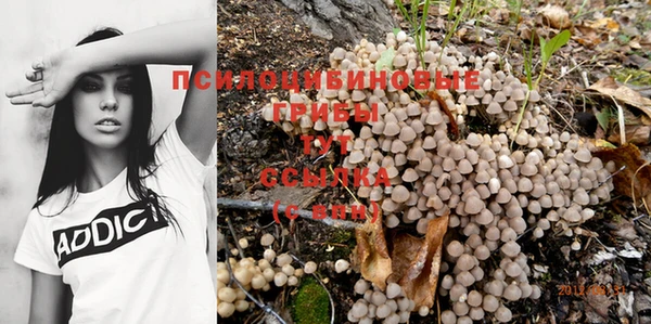 гидра Магас