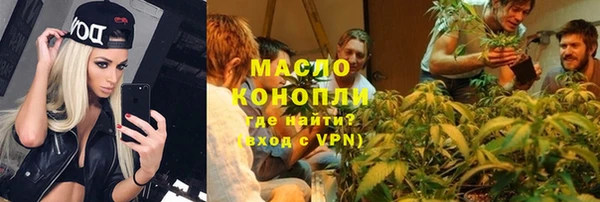 гидра Магас