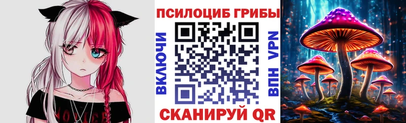 Галлюциногенные грибы мицелий  Купить  Цоци-Юрт 
